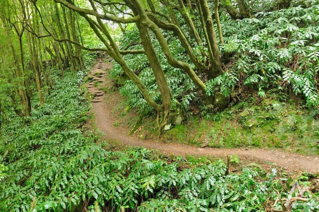 São Miguel, Azores