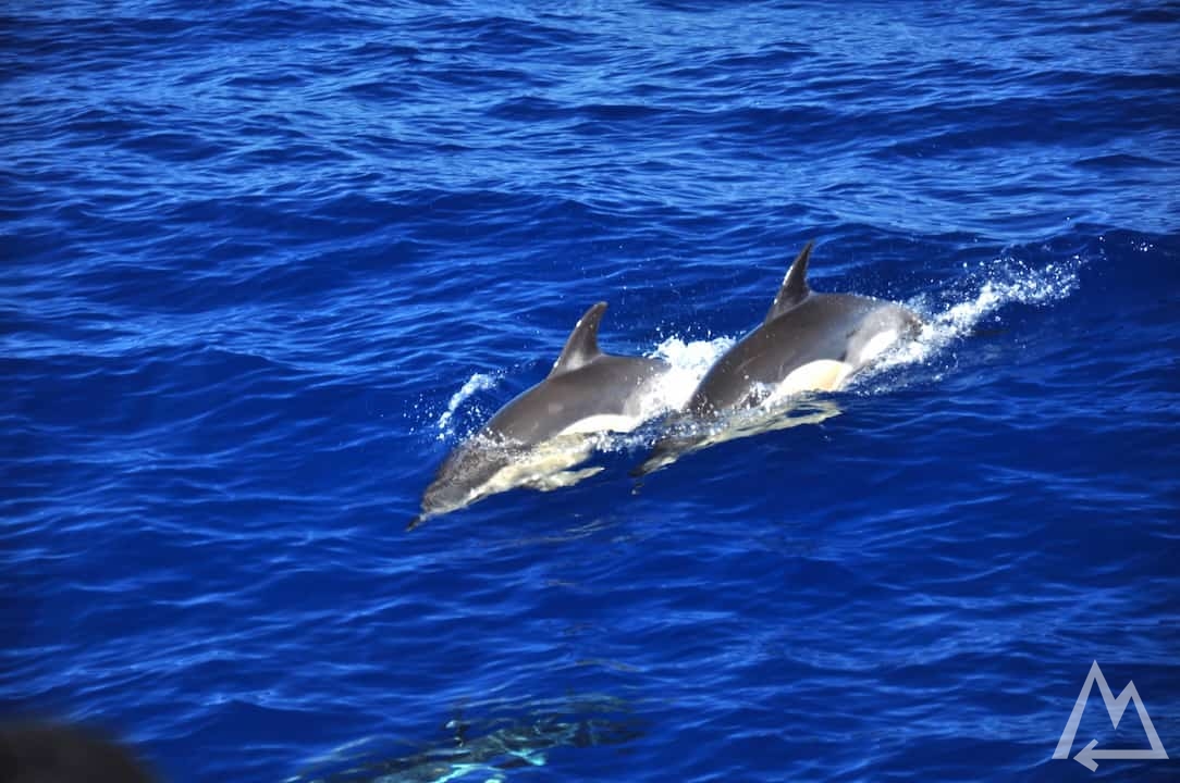 São Miguel, Azores