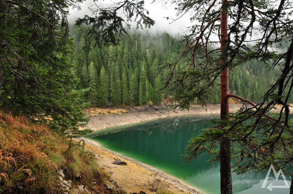 deep green lake surrounded by green fir trees in the highlands of Montenegro