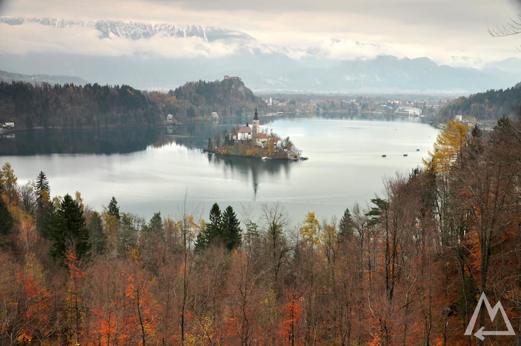 island on a small lake in Slovenia