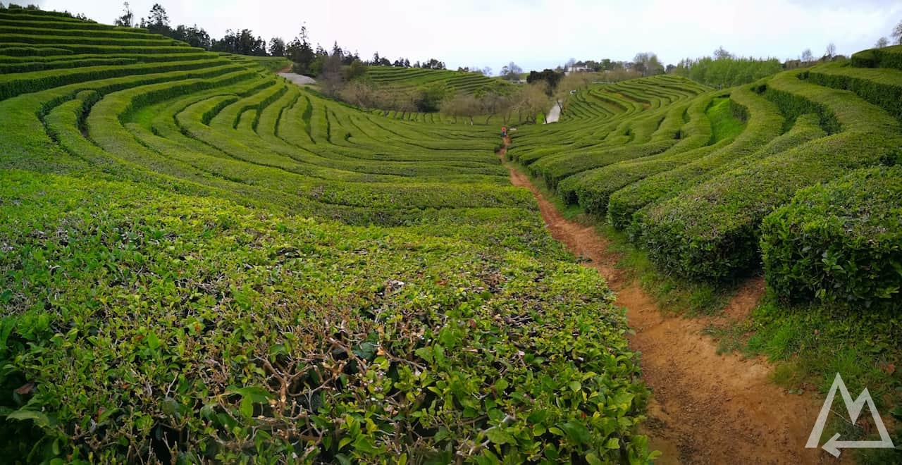 São Miguel, Azores