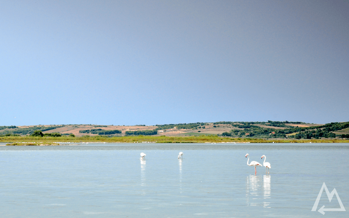 Sardinia