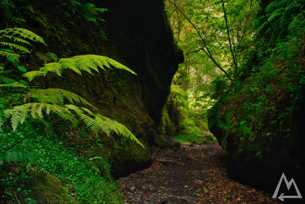 Cascad los Tilos, La Palma, Canary Islands, Spain