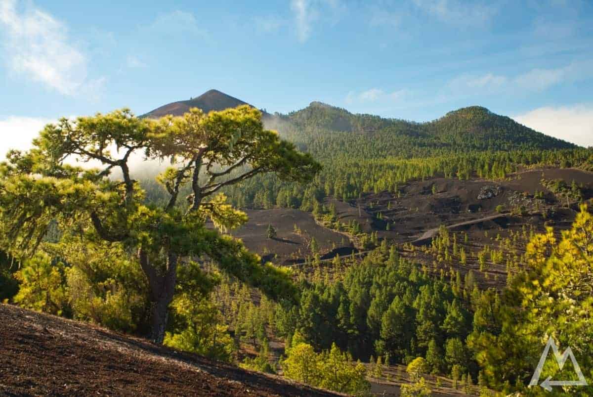 Llano del Jable, La Palma, Canary Islands, Spain