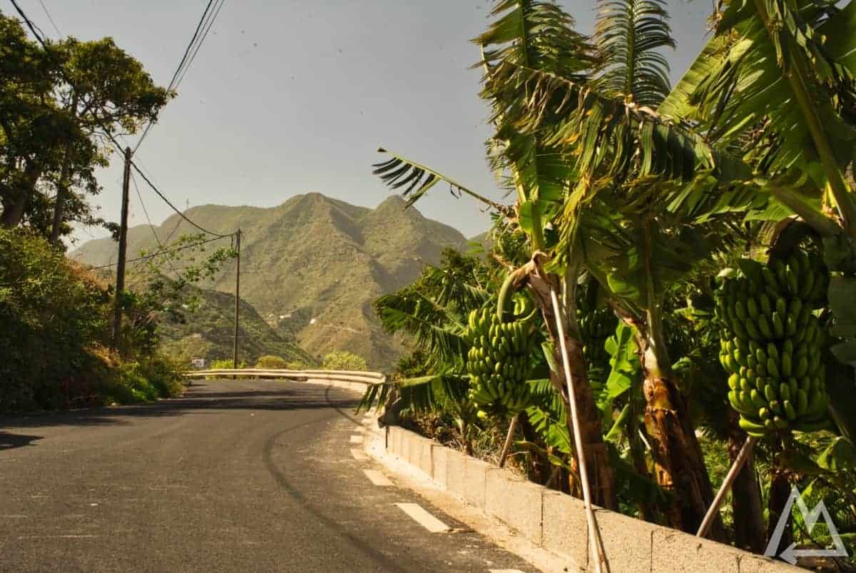 Mirador de La Punta driving north, La Gomera, Canary Islands, Spain