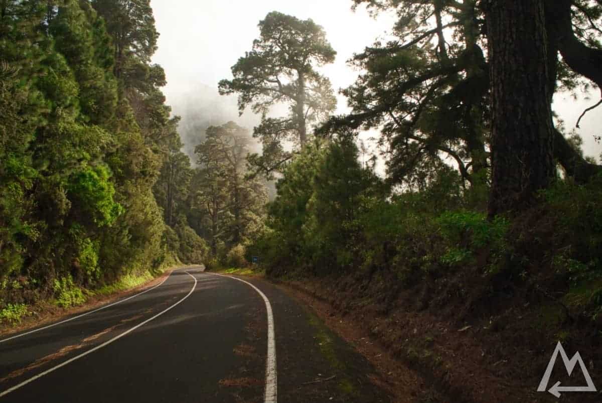 North of La Palma on the road