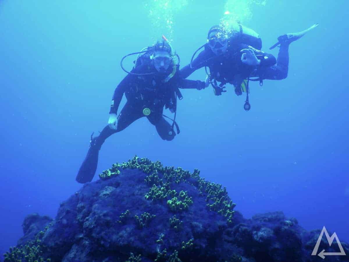 Diving in La Bombilla, La Palma, Canary Islands, Spain